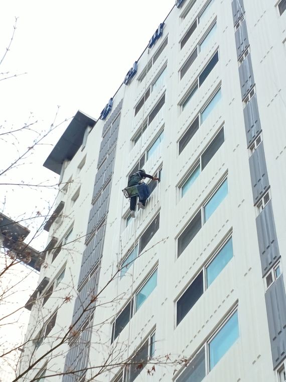 측면 중층부.