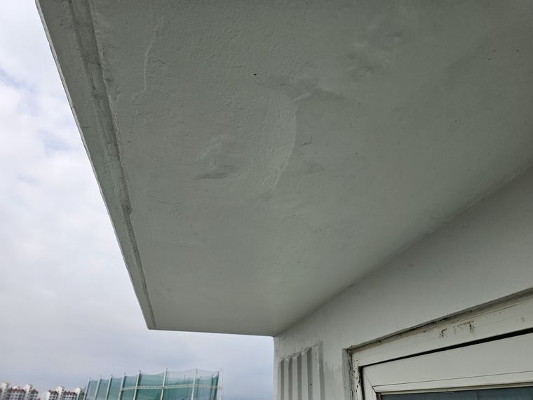 처마 선단부 박리. 여기서부터 벗겨져 안쪽으로 진행한다.